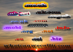 Domain Registration