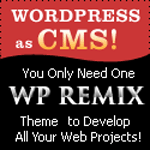 Wordpress Remix